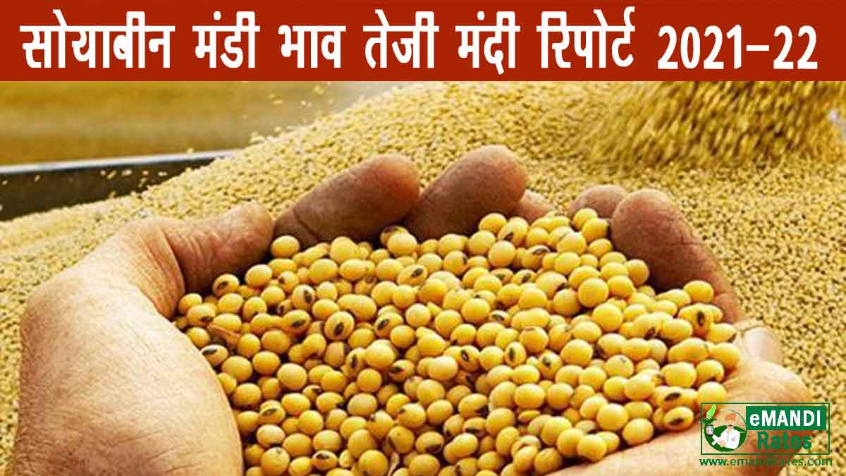 सोयाबीन का भाव