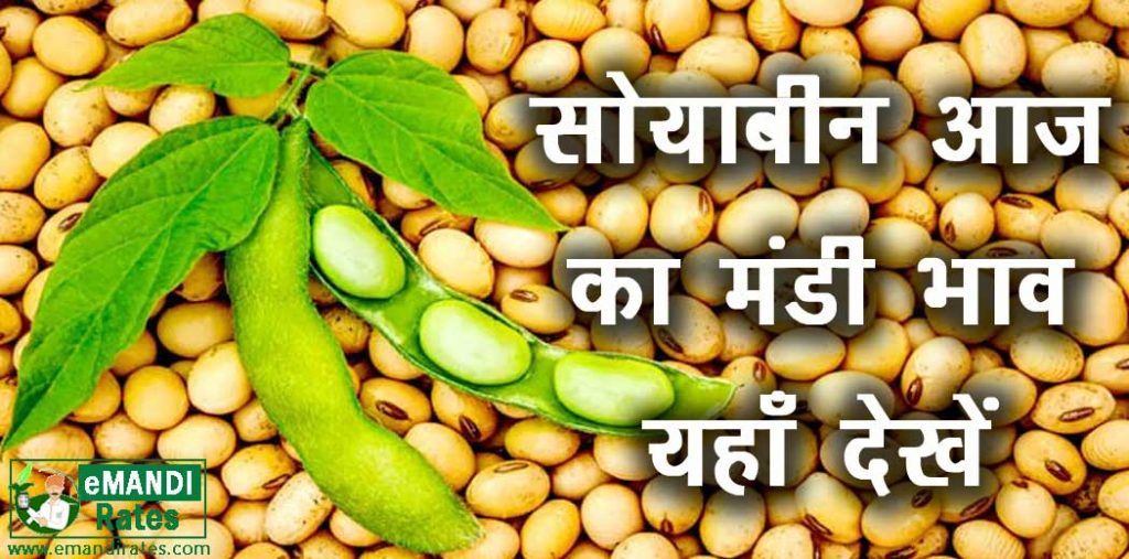 soyabean rate today