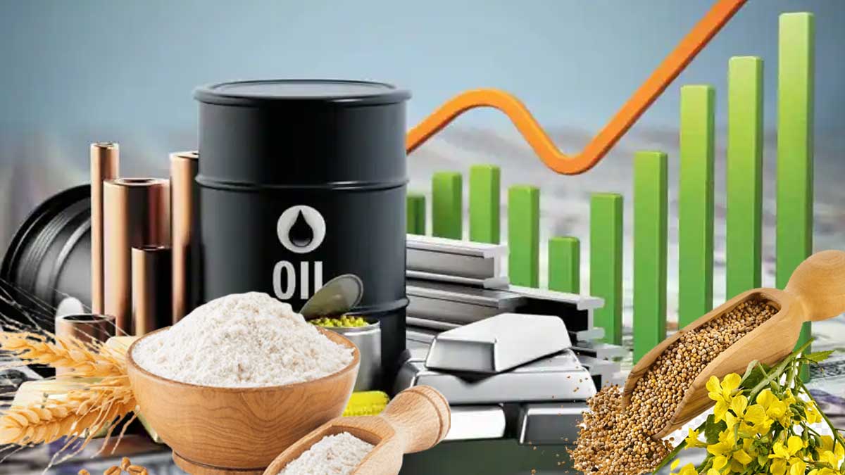 Big decision of SEBI, ban on futures trading of these 7 commodities