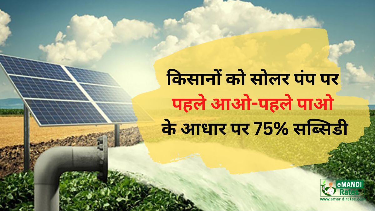 Haryana Solar Pump Subsidy Scheme