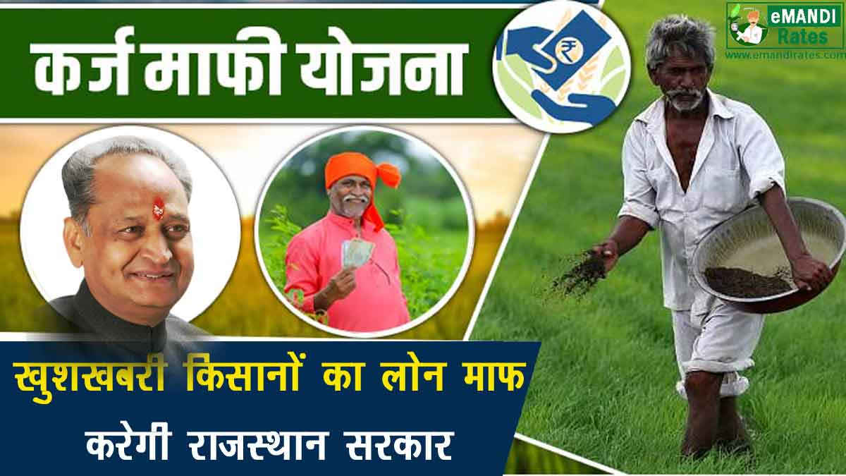 rajasthan kisan karj mafi yojana 2022 Latest News In Hindi