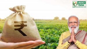 Agriculture Budget 2023: मछली पालकों के लिए 6 हजार करोड़ का निवेश, कृषि ऋण का लक्ष्य 20 लाख करोड़ किया