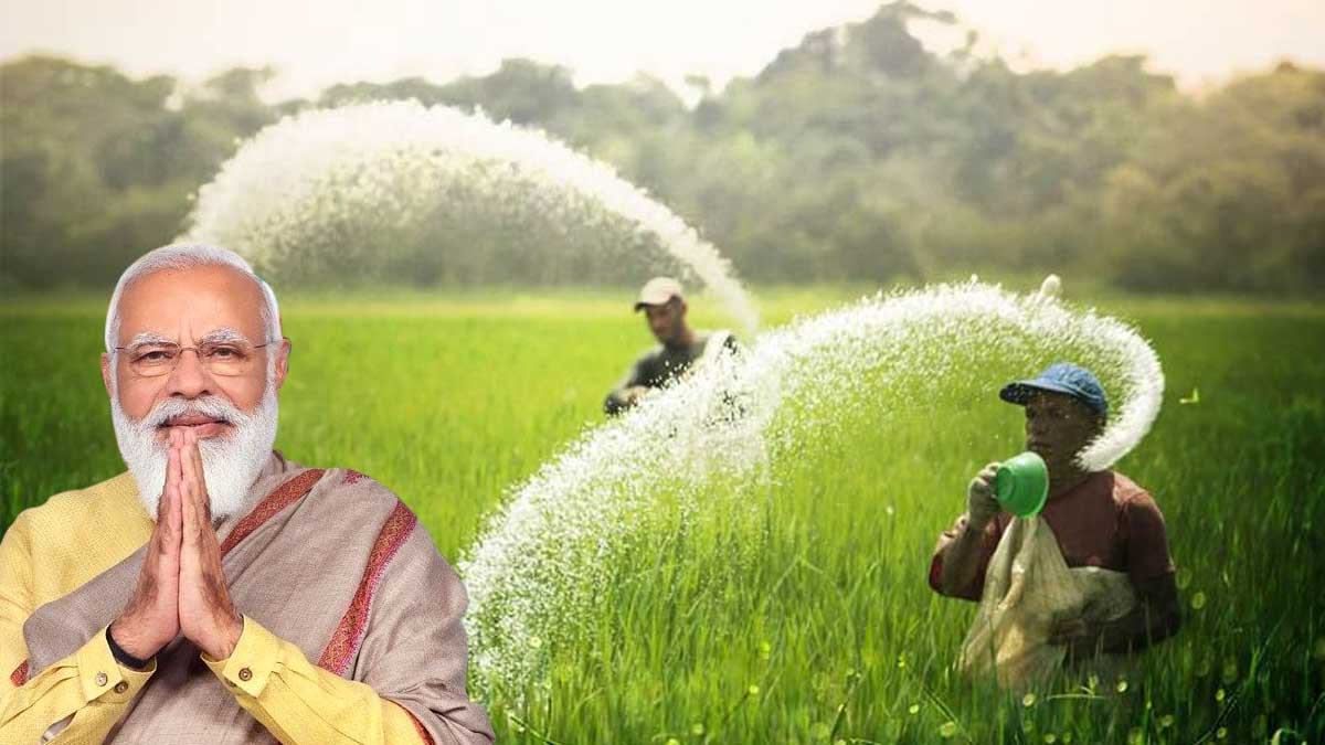 DAP and Urea fertilisers