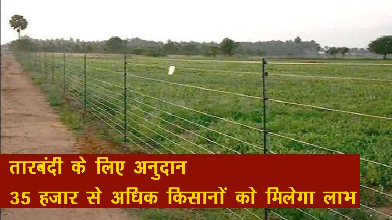 Tarbandi Yojana Rajasthan