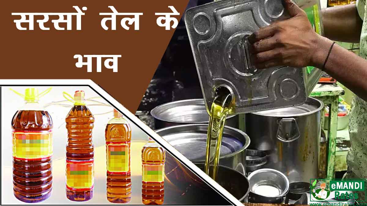 sarson tel ka bhav
