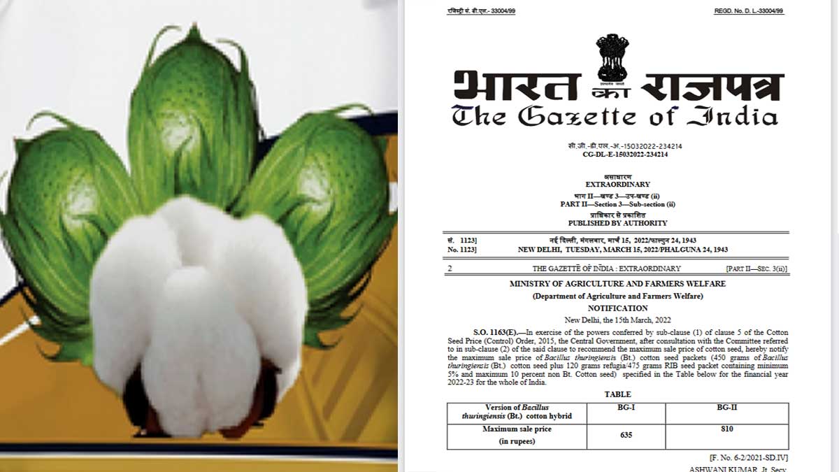 Price of Bt cotton seed for the year 2022-23