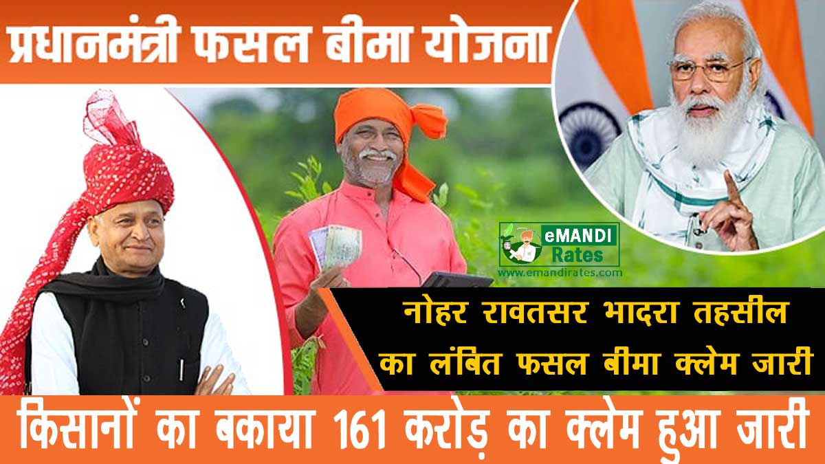 hanumangarh crop insurance compensation