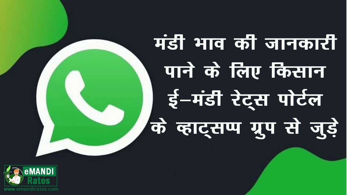 Mandi Bhav Whatsapp Group