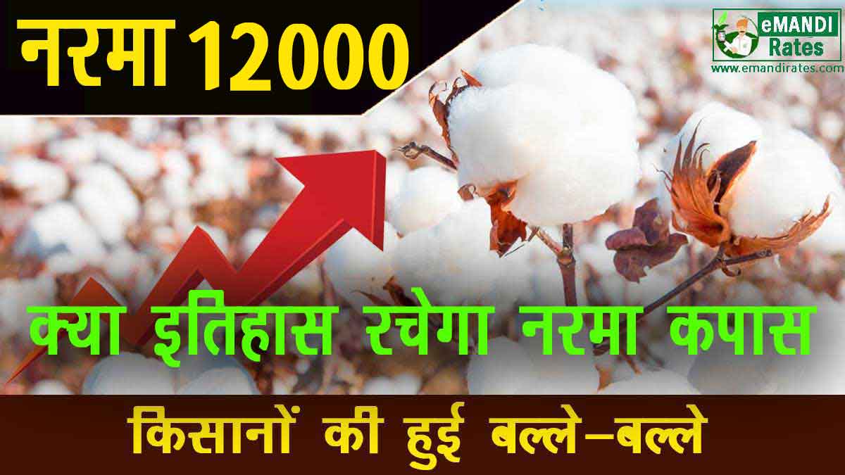 Narma Ka Bhav 12000