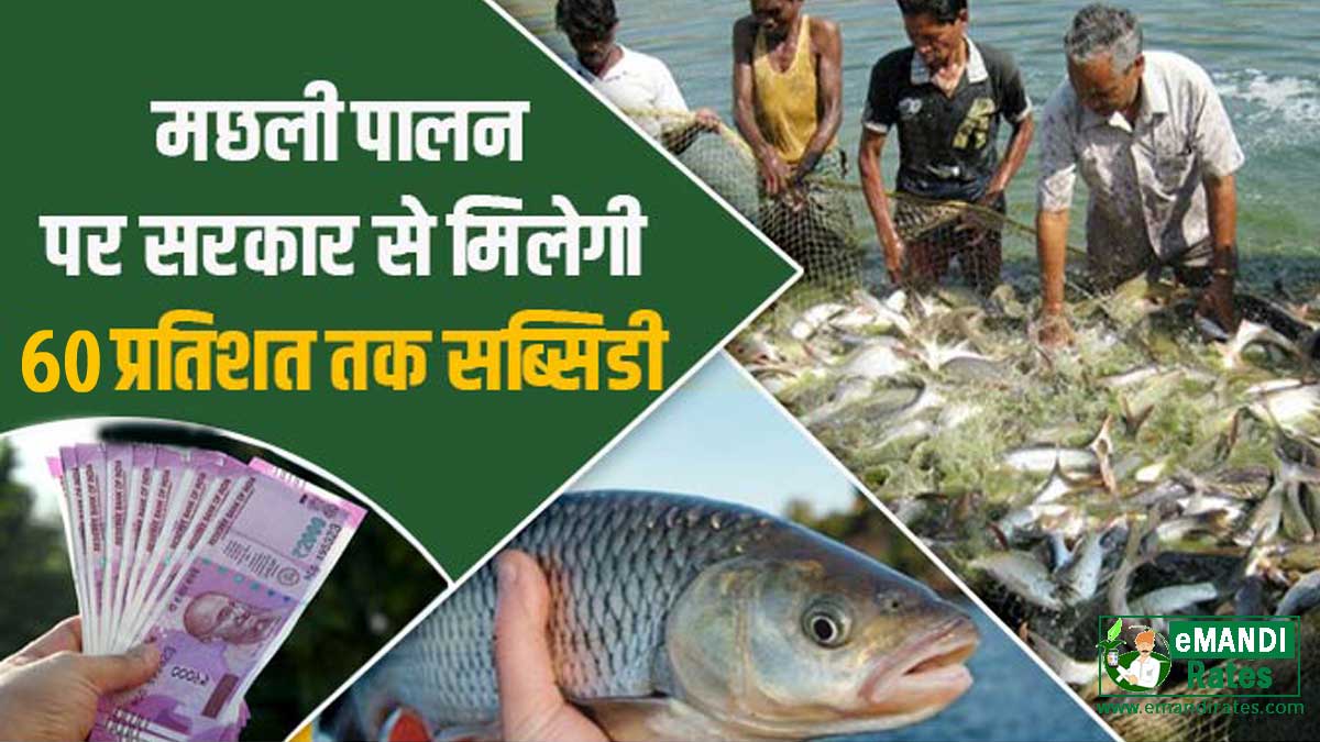 PM Matsya Sampada Yojana