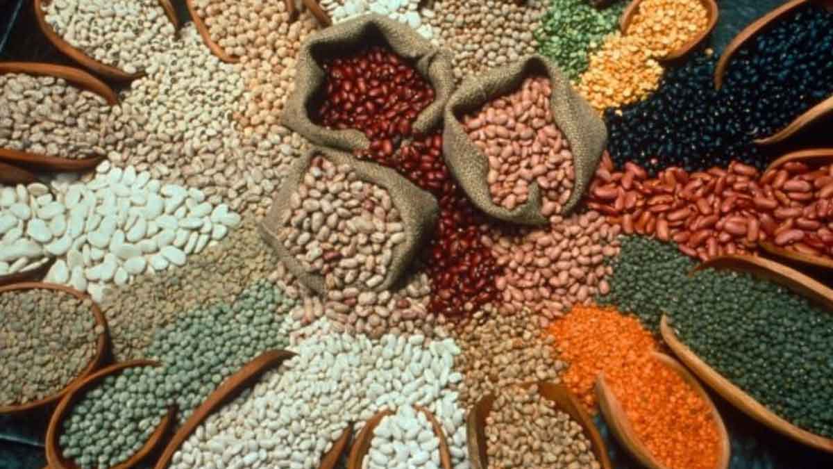 कमोडिटी समाचार