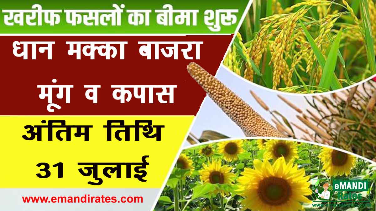 insurance of kharif crops started farmers can insure till july 31, 2022