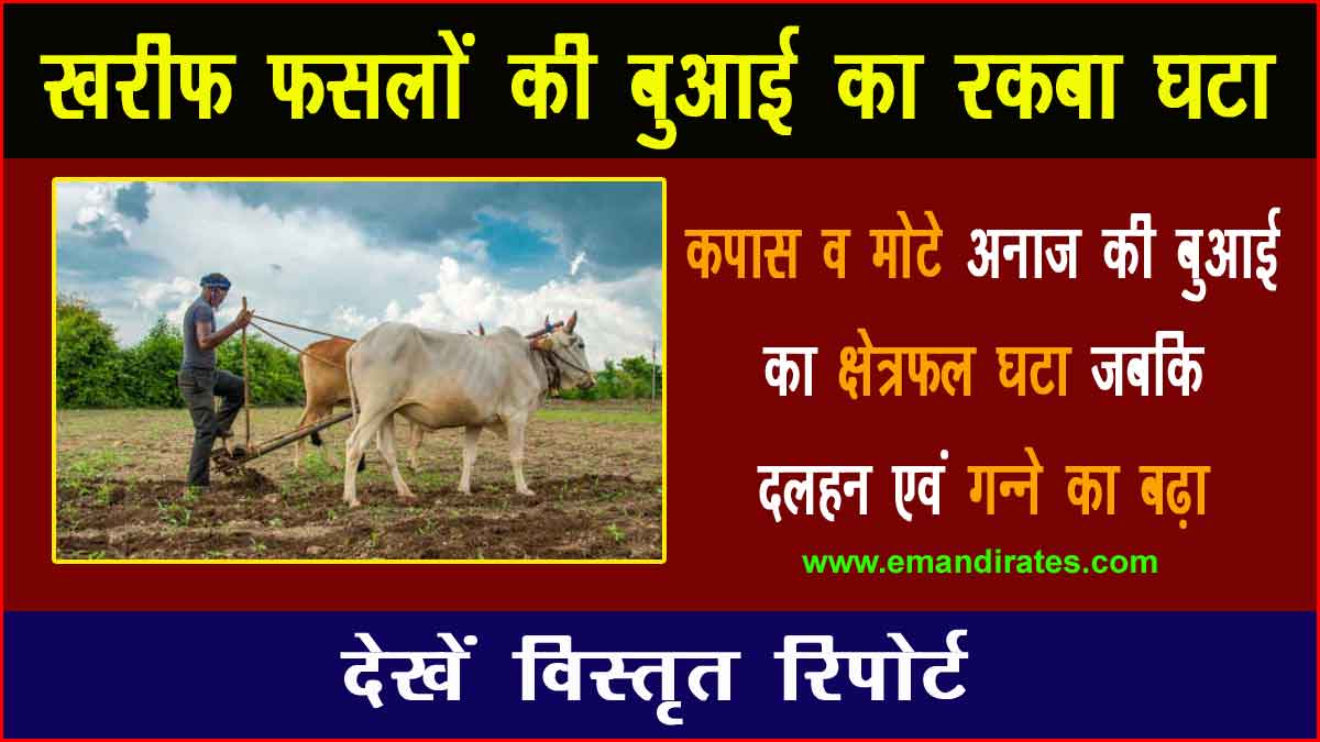 kharif crops sowing area decreased compared to last year