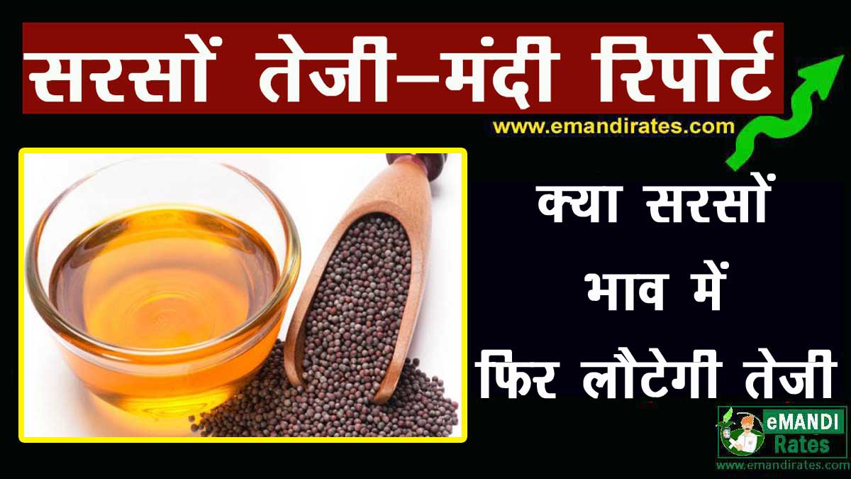 sarso me teji kab aayegi