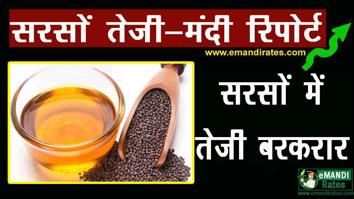 सरसों भाव में तेजी बरकरार