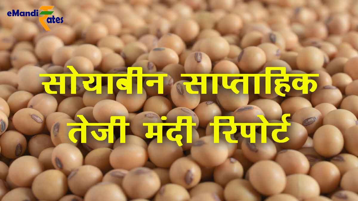 soybean teji mandi weekly report