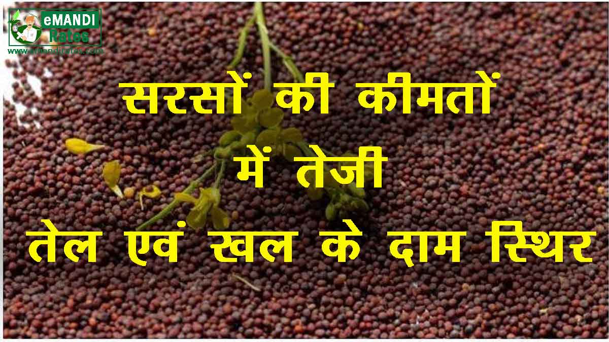 Mustard prices rise, oil and oil prices stable