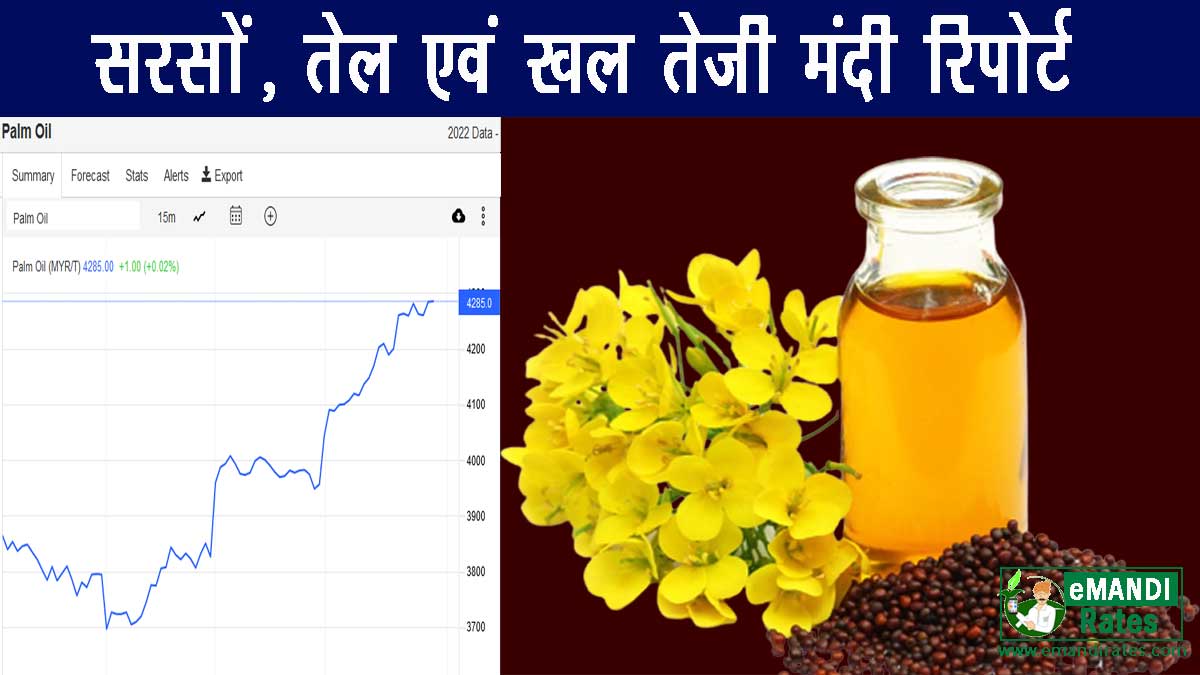 Mustard seed & Mustard oil Price News Today