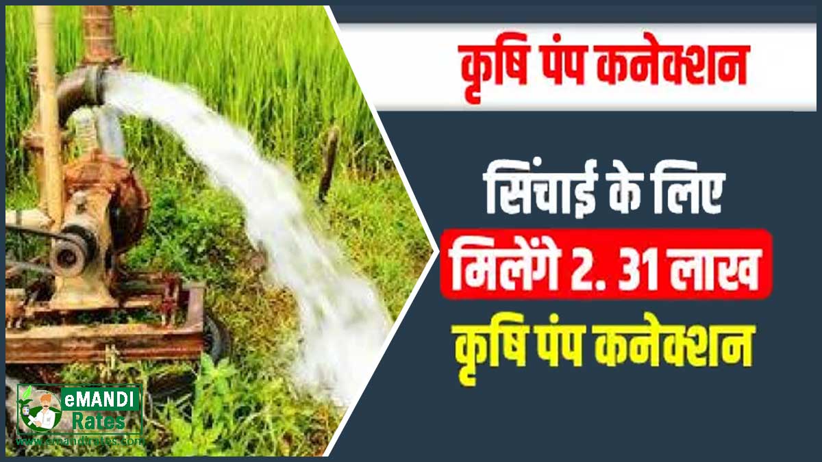Krishi Pump Connection