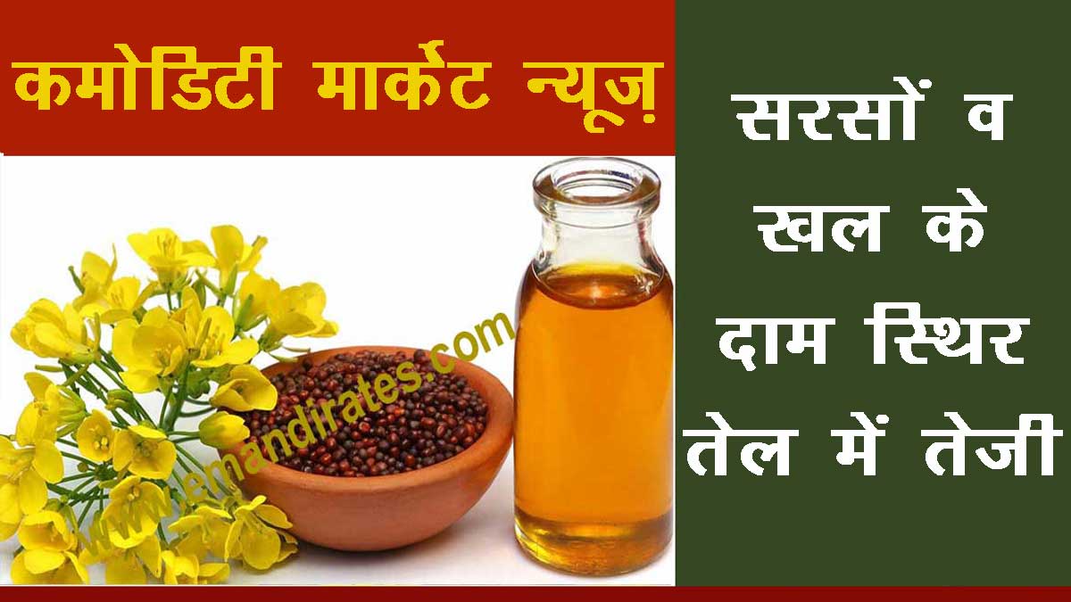 mustard news today hindi