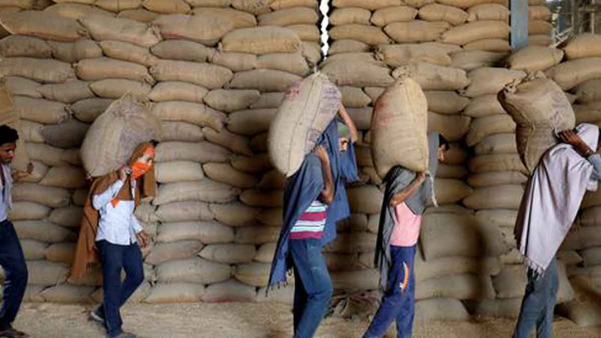 stock limit in wheat