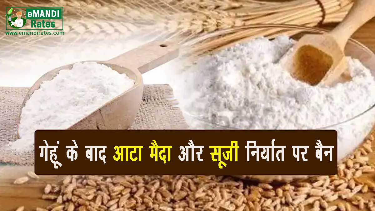 Ban on export of flour, maida and semolina after wheat