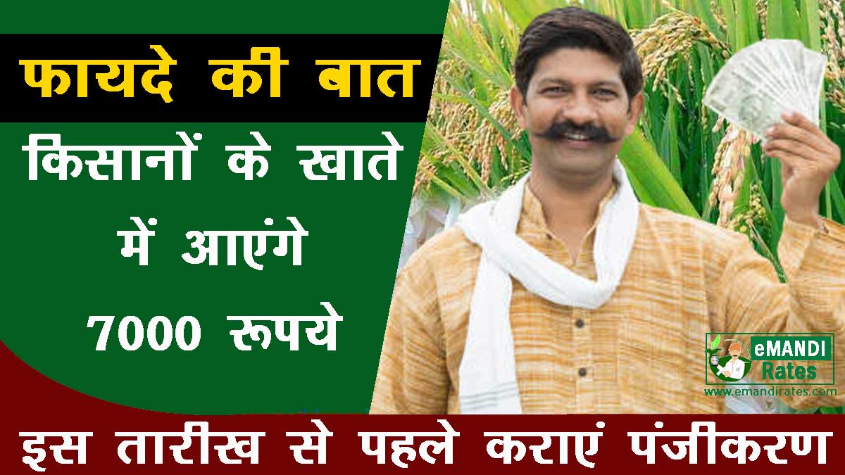Government will give grant of Rs 7000 per acre to farmers