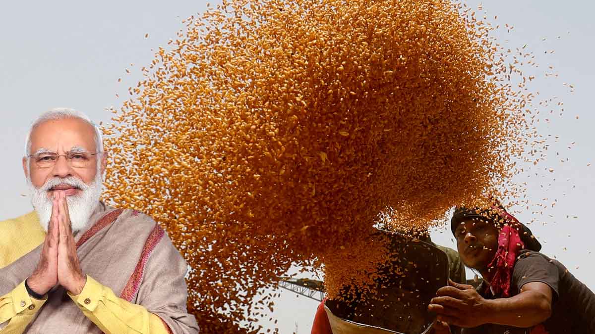India refuses to import wheat