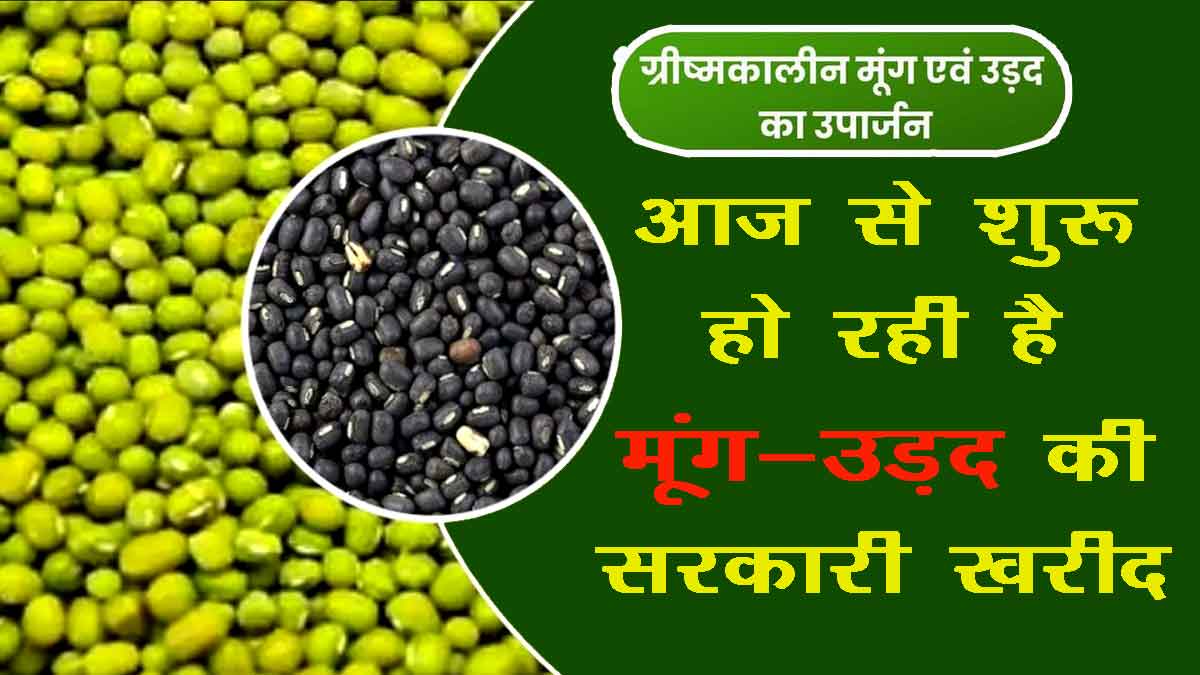 MP Moong Urad kharidi 2022 23