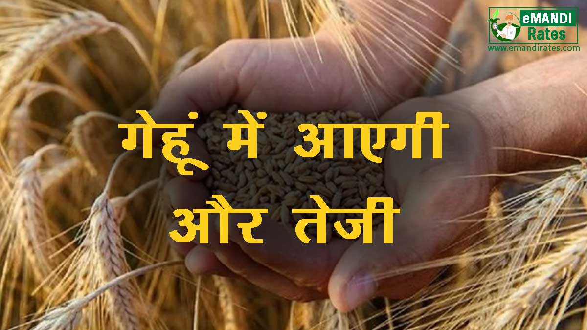 Wheat prices continue to rise