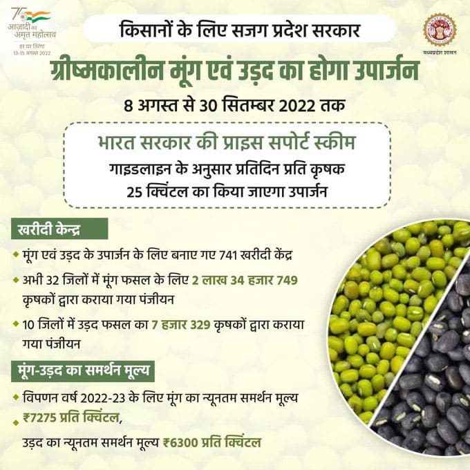 Moong and Urad Procurement for MP