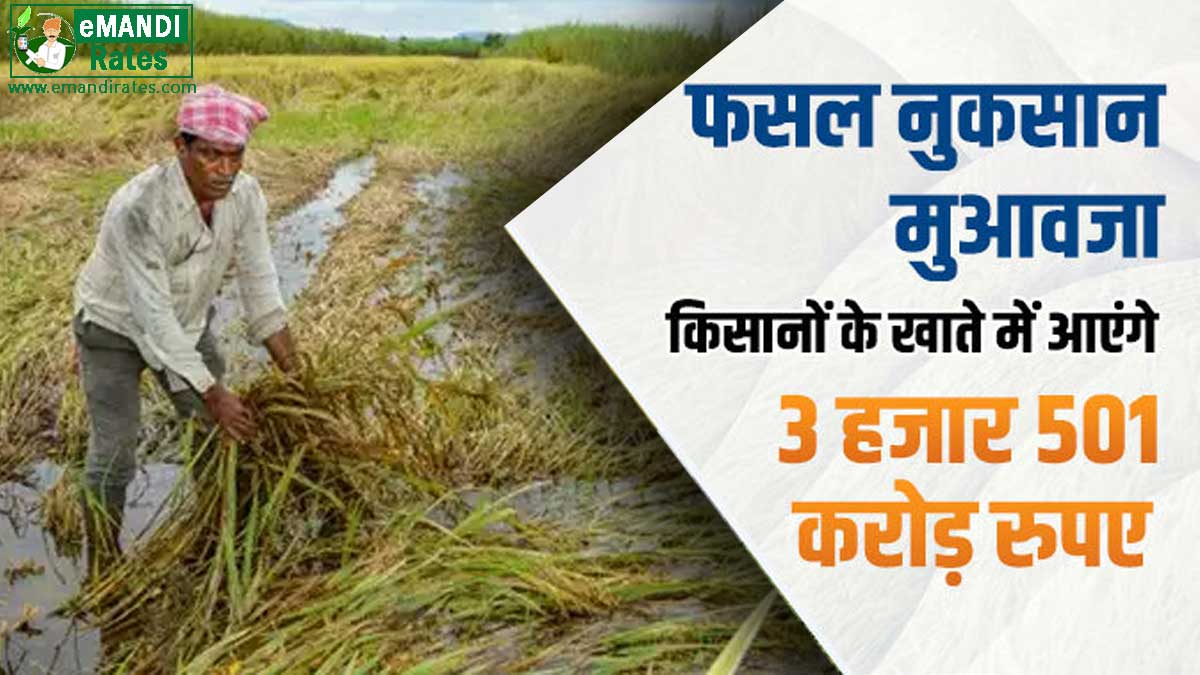 Crop loss compensation amount