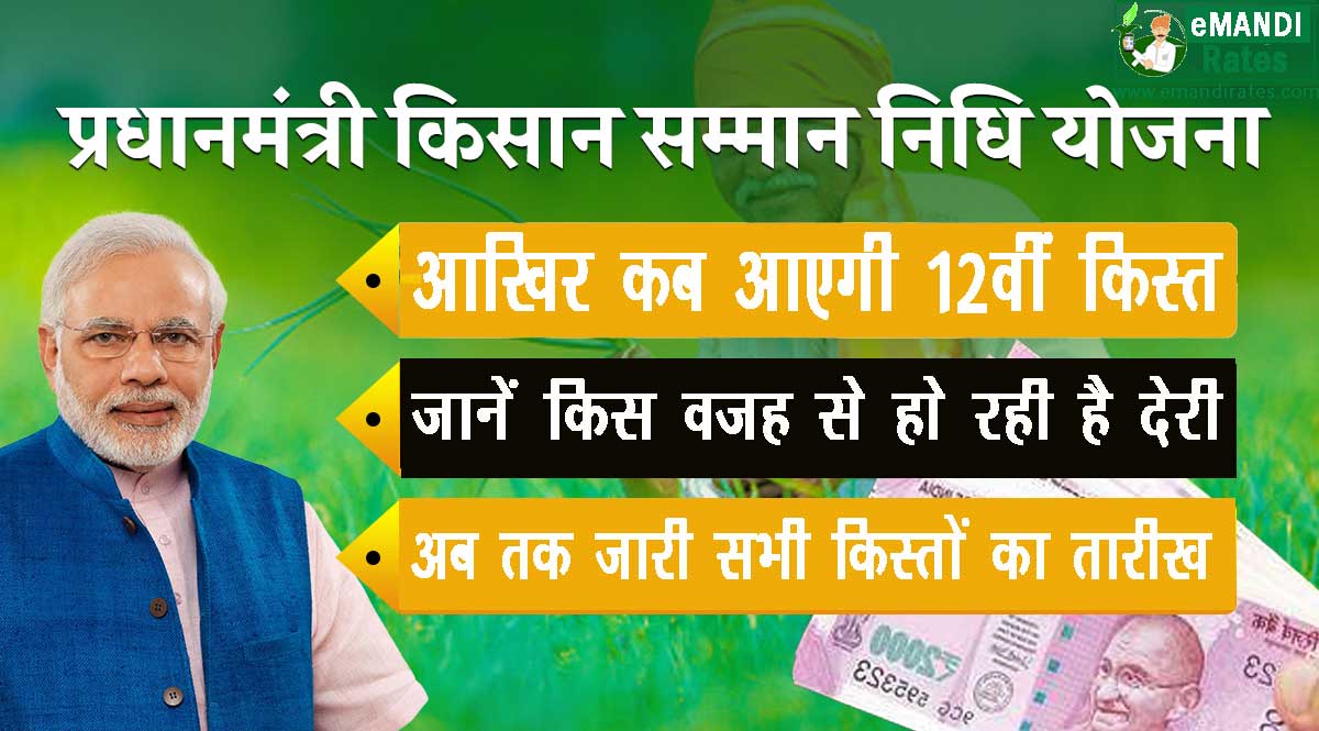 Pm kisan 12 kist