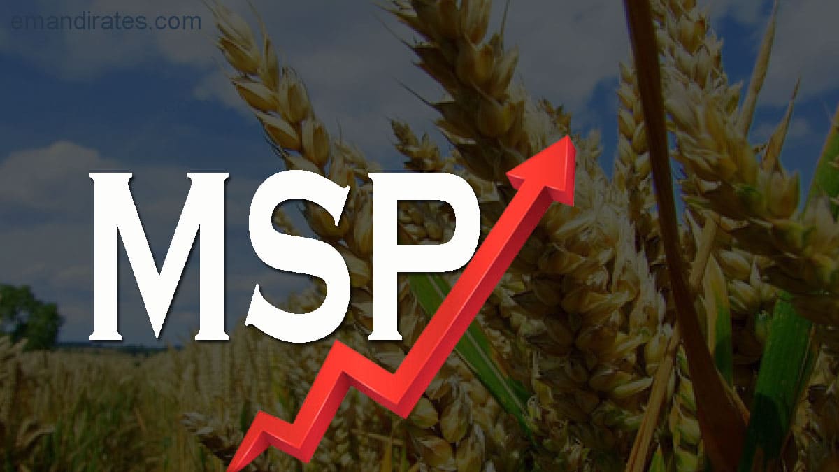 Rabi Crops MSP - Rabi Marketing Season (RMS) 2023-24 MSP