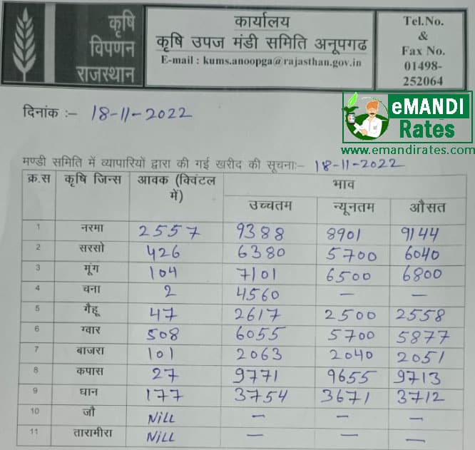 Anoopgarh Mandi Bhav 18 nov