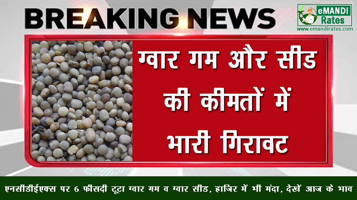 Big Fall in guar price