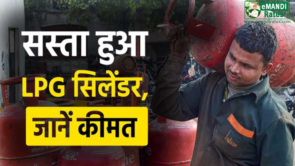 LPG Gas Cylinder Price Today