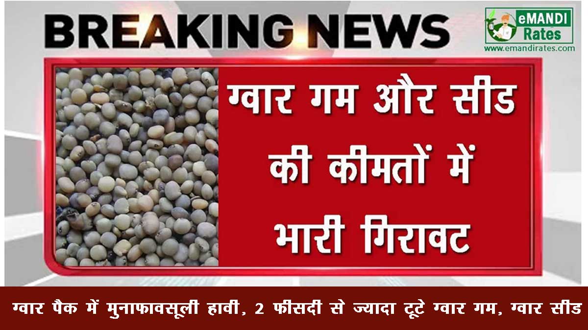 Ncdex Guar Bhav december