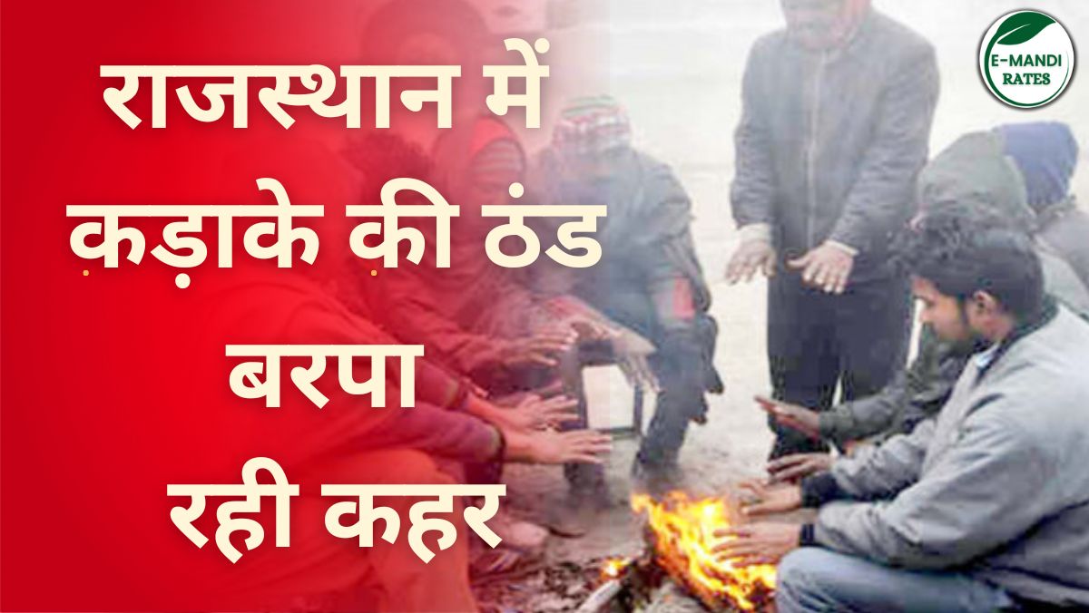 Rajasthan Winter Update