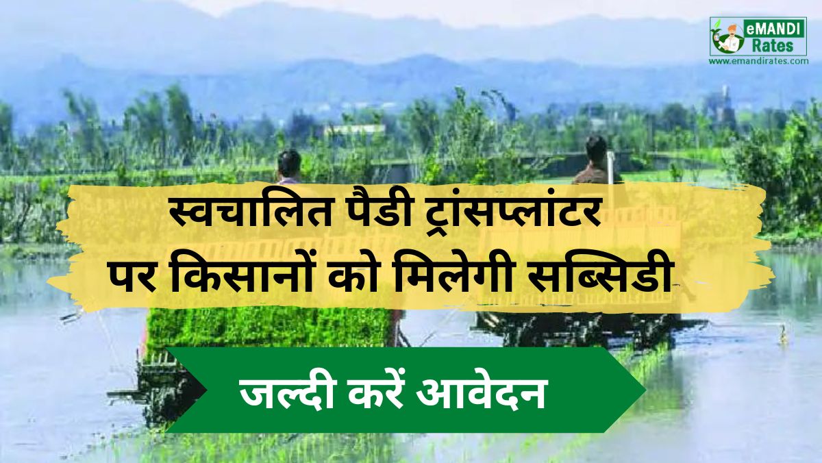 Subsidy on Automatic Paddy Transplanter
