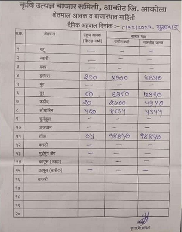 akot mandi bhav