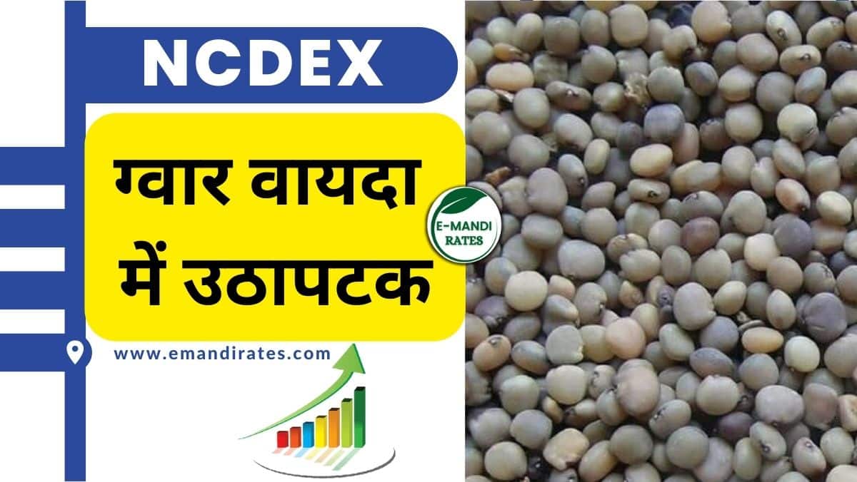 Ncdex Guar Bhav Today