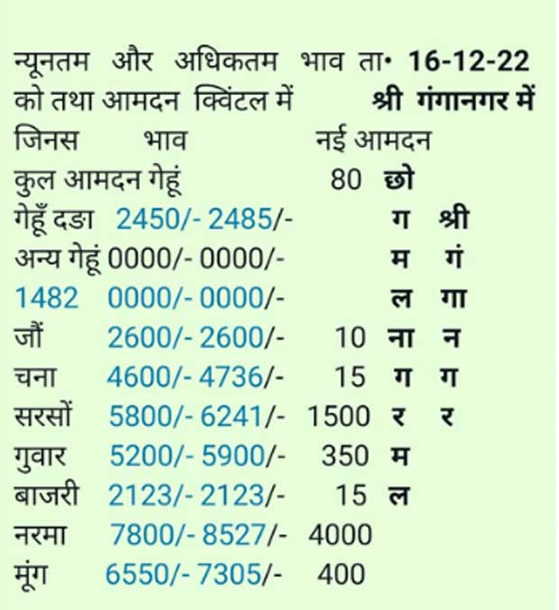 sri ganganagar anaj mandi bhav 16-12-2022