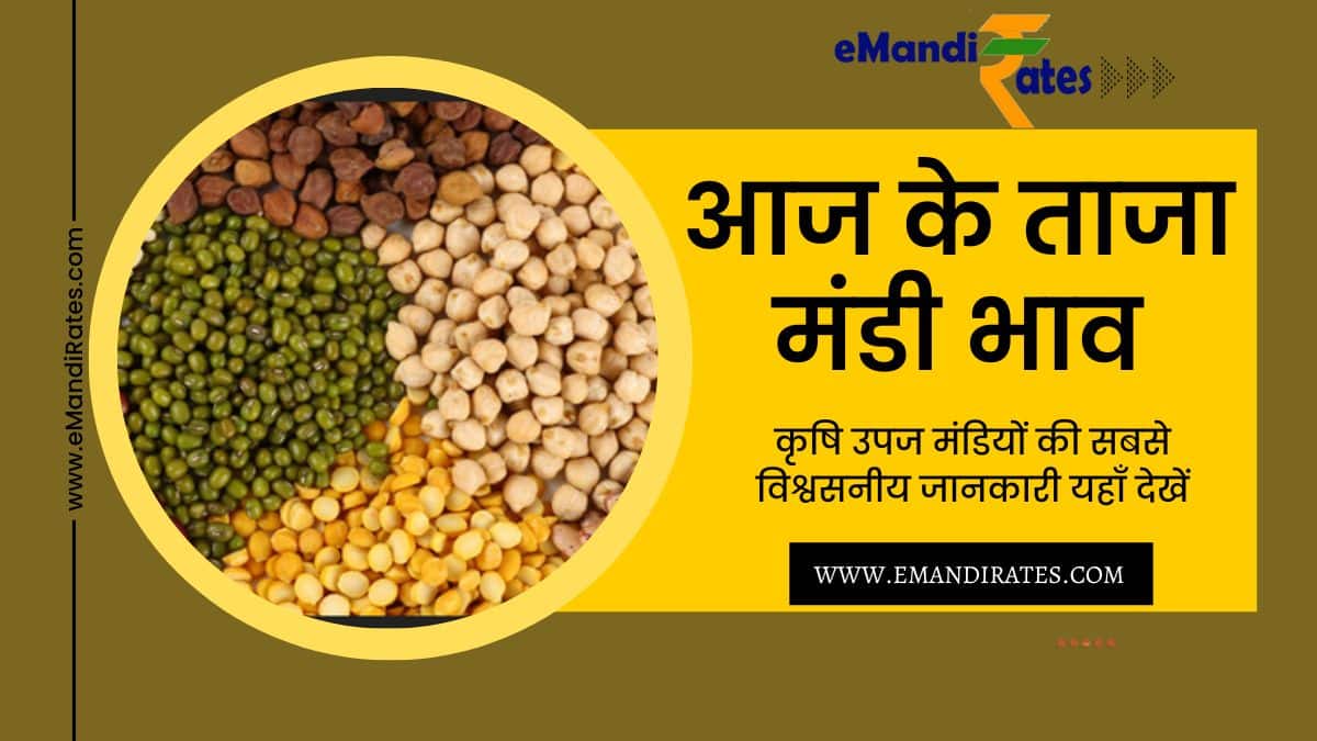 aaj ke taza mandi bhav