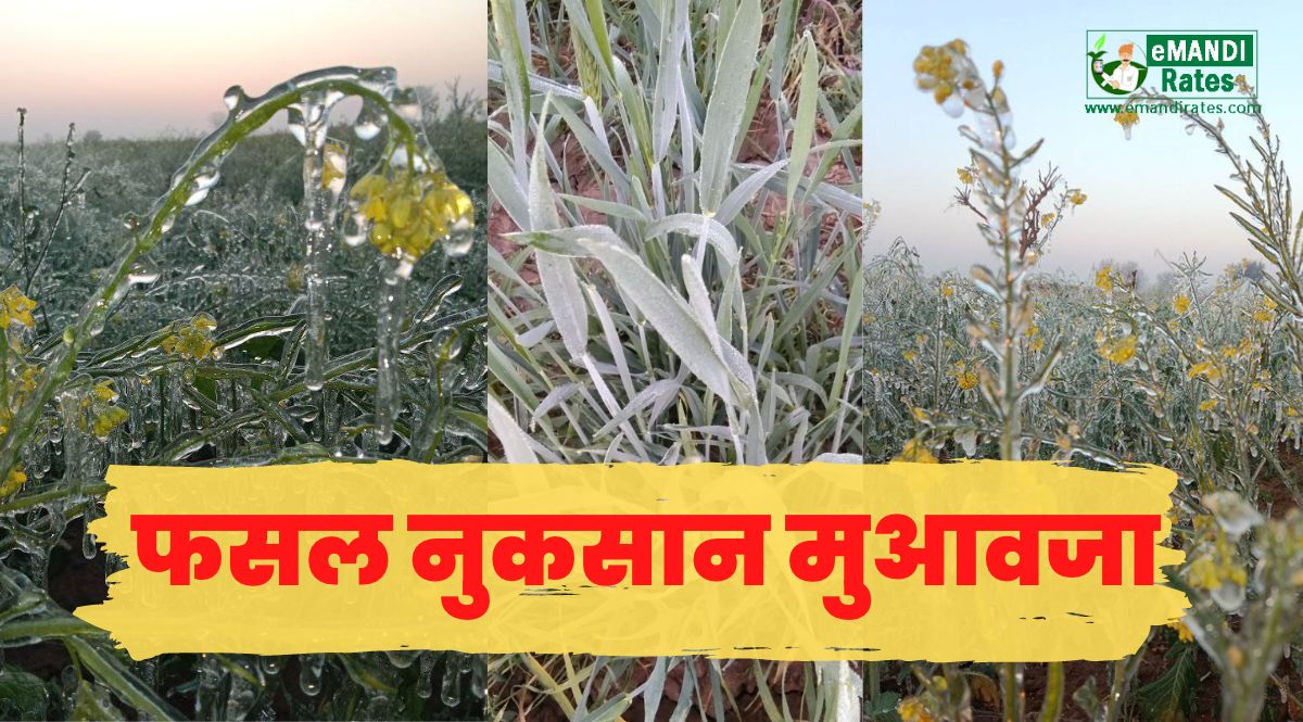 Crop loss compensation