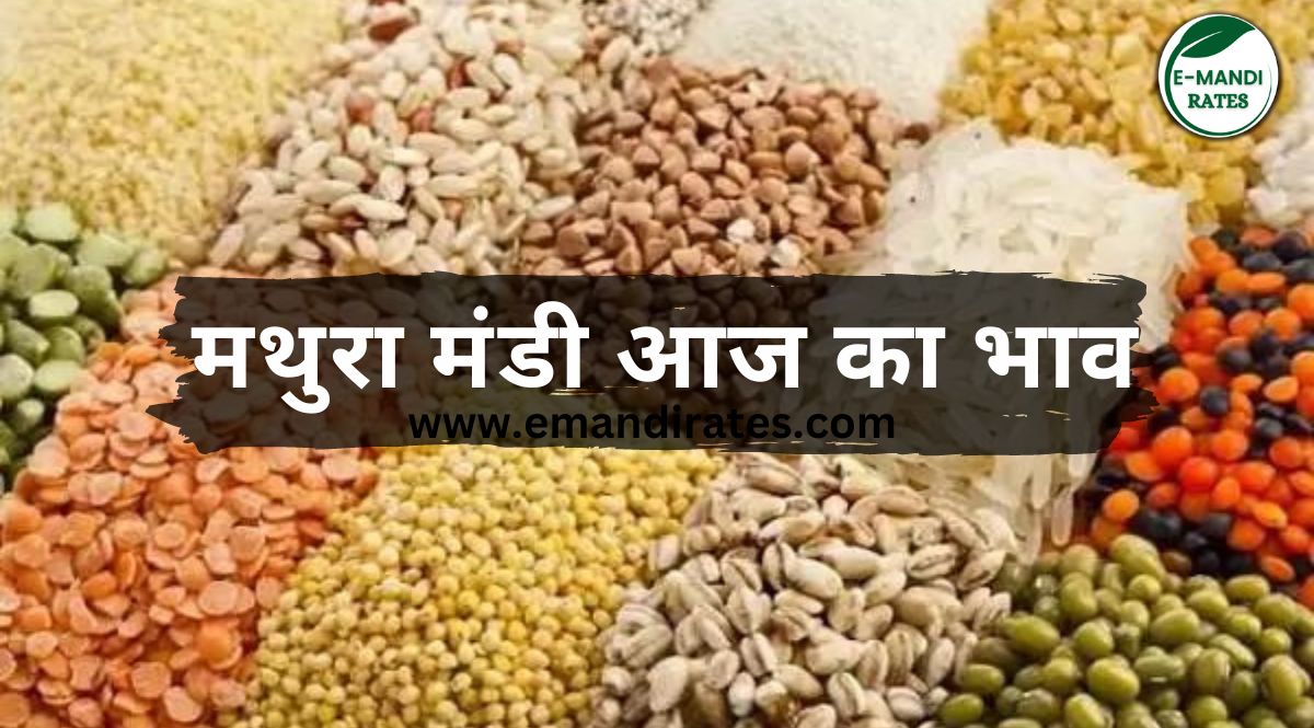 Mathura Mandi Bhav 2024