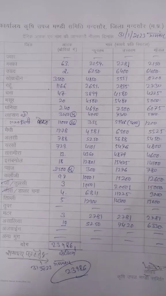 Mandsaur Mandi Bhav