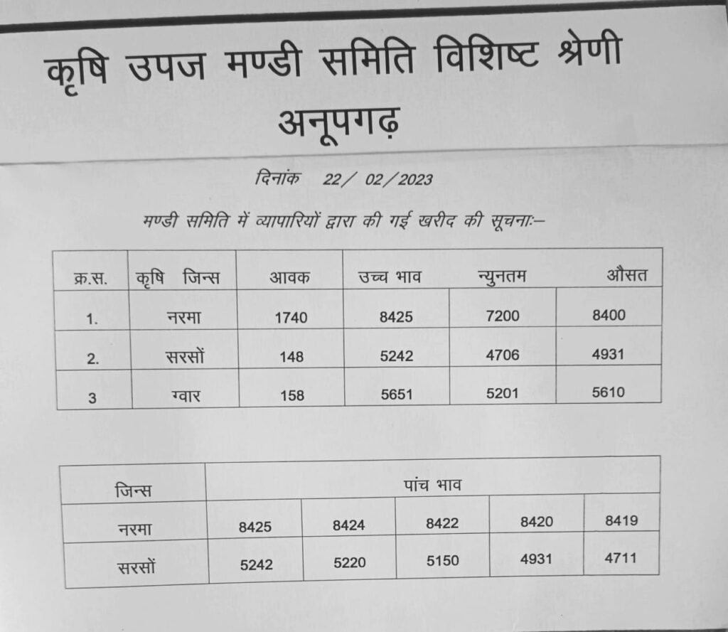Anupgarh mandi bhav