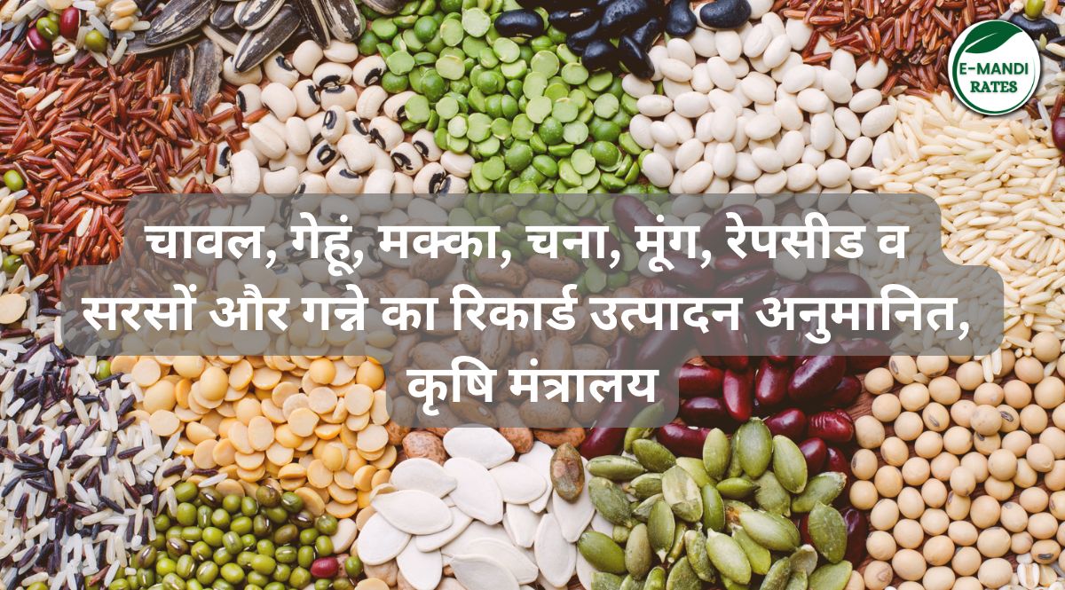 Crop production estimates 2022-23