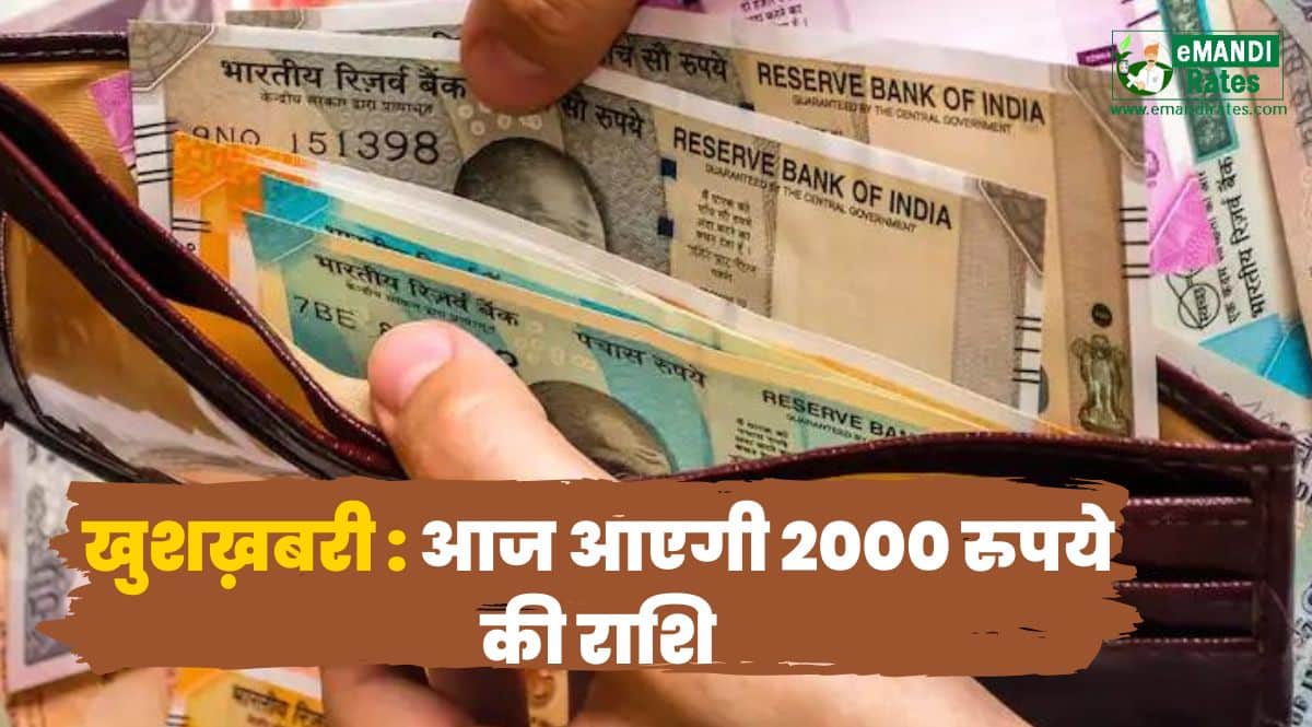 Mukhyamantri Kisan Kalyan Yojana ki kist kab Aayegi